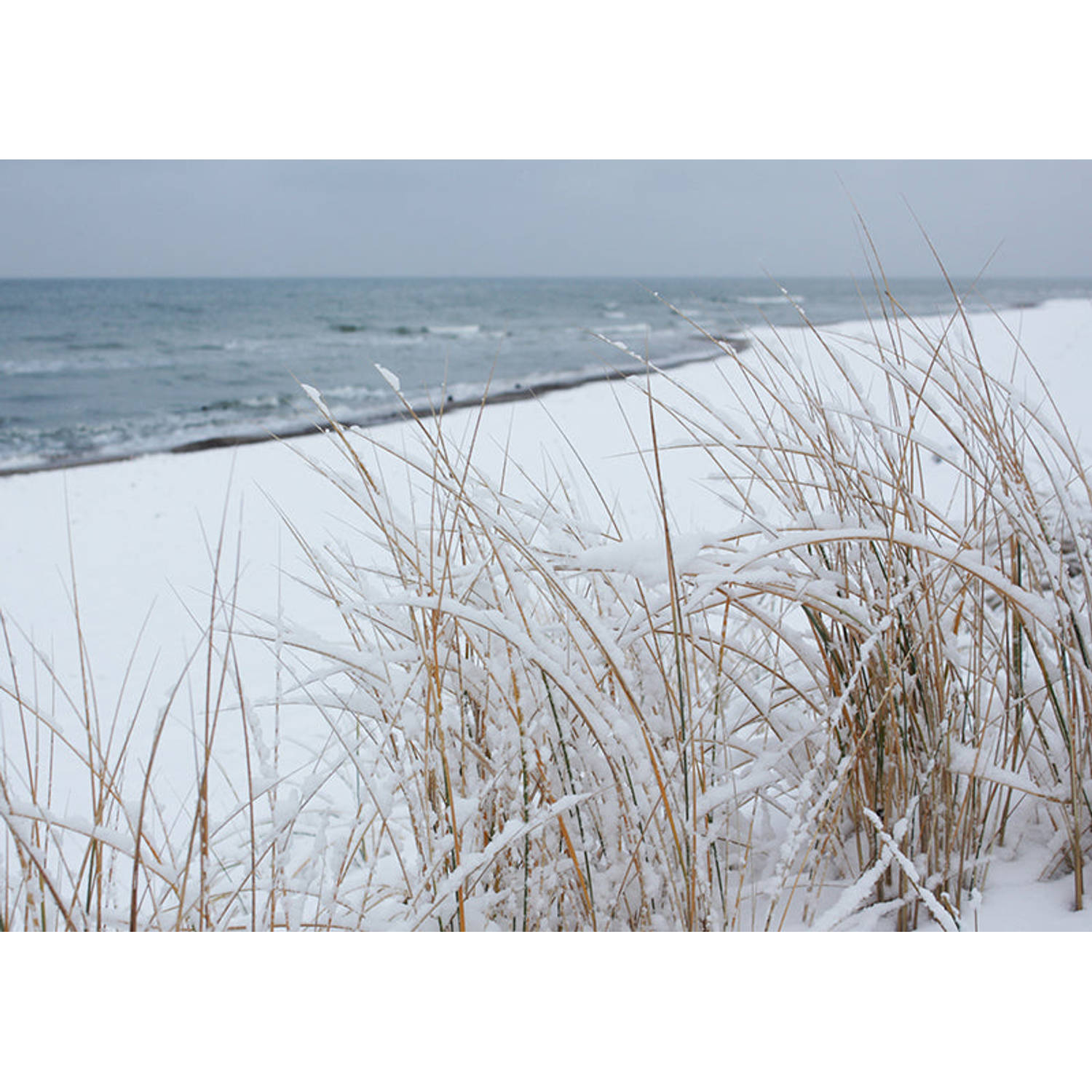 Inductiebeschermer - Snowy Beach - 76x52 cm