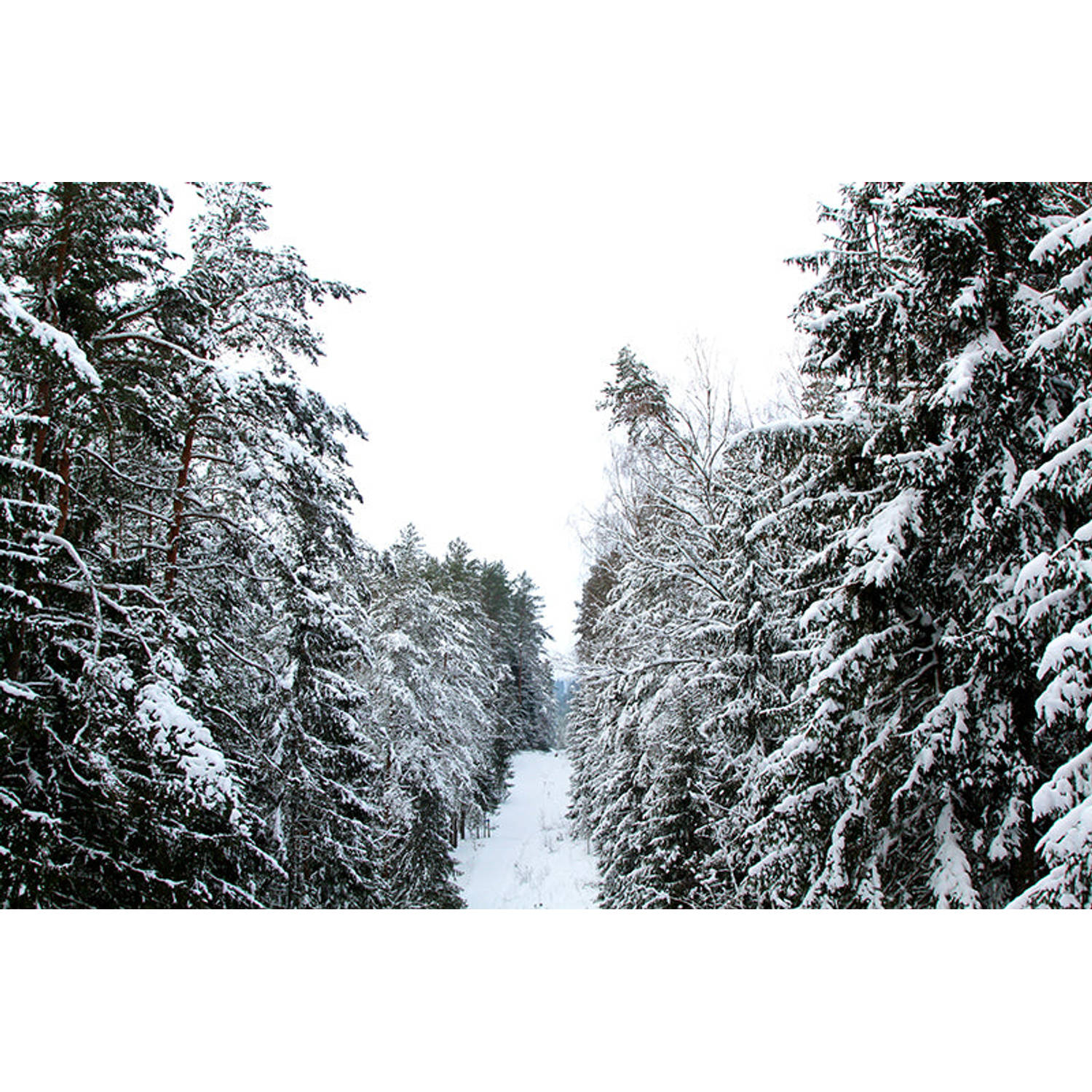 Inductiebeschermer - Snow road - 76x52 cm