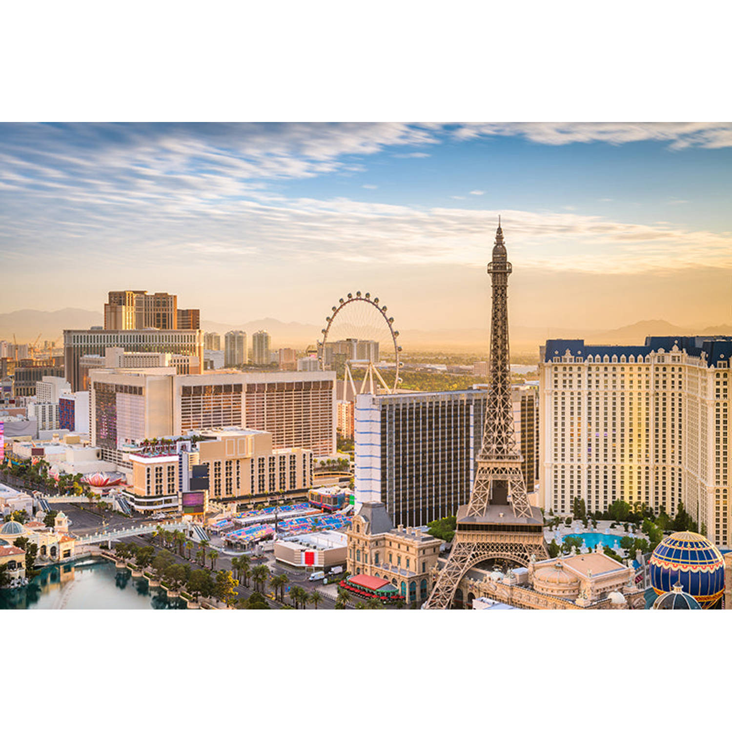 Inductiebeschermer - Las Vegas Overview - 58x52 cm