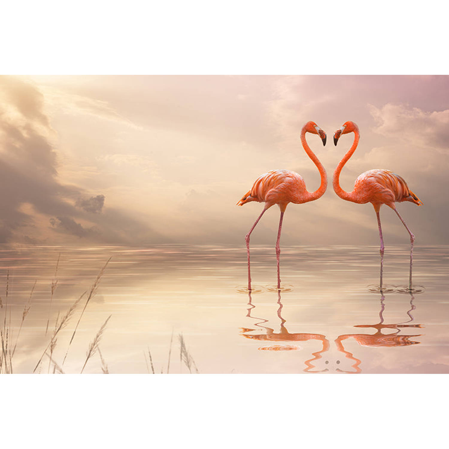 Inductiebeschermer - Loving Flamingo - 76x52 cm