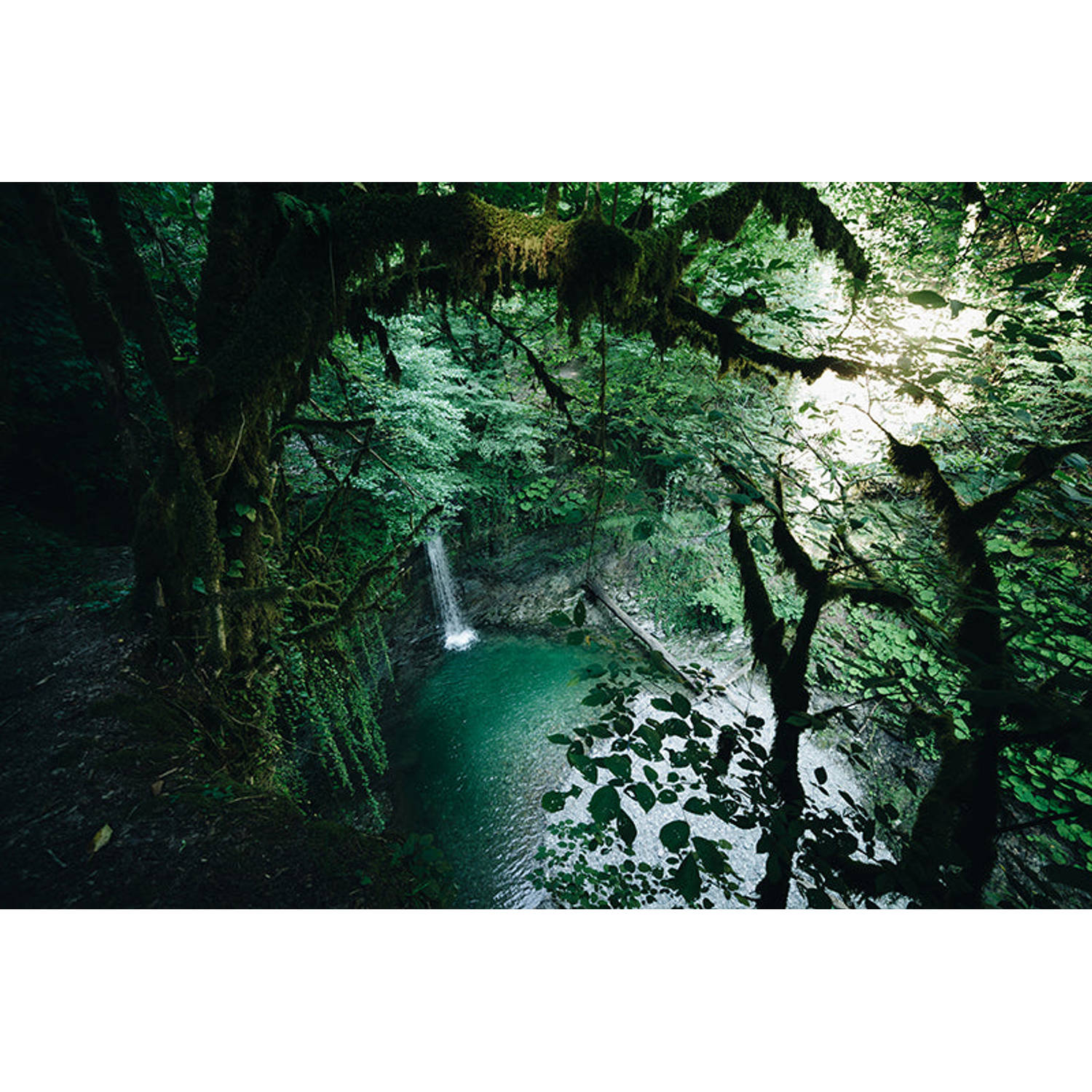 Inductiebeschermer - Jungle Cliff - 76x52 cm