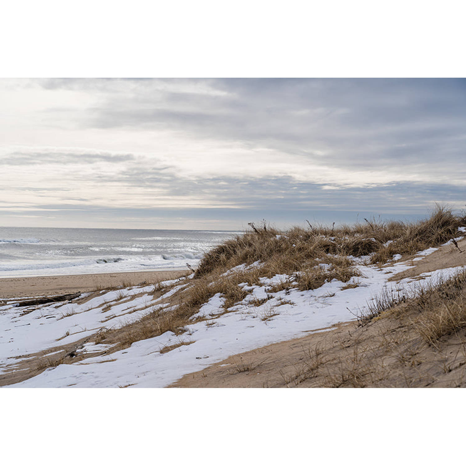 Inductiebeschermer - Frozen Beach - 82x52 cm
