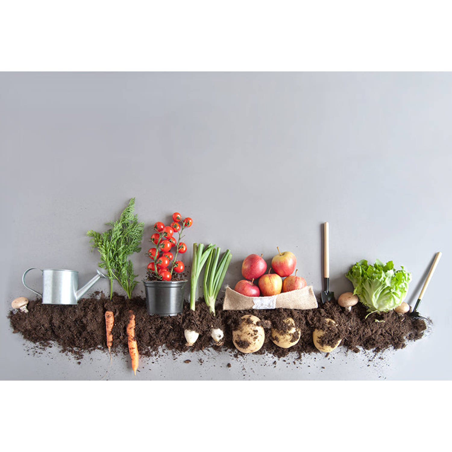 Inductiebeschermer - Fruits and Greens - 60x60 cm