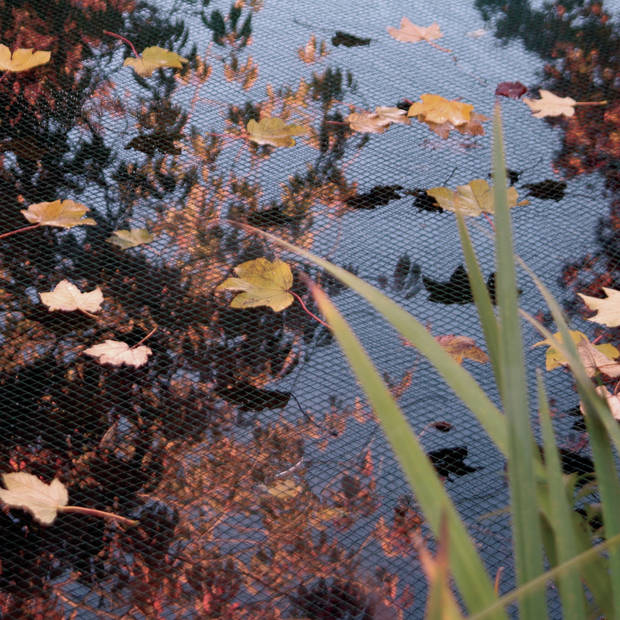 Nature Ubbink Vogelnet/vijvernet - groen - polyethylene - 10 x 6 meter - Vogelnetten