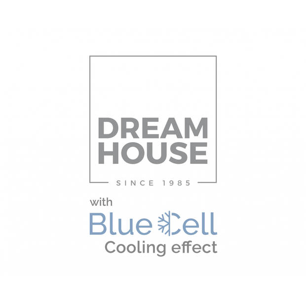 Dreamhouse Hoofdkussen - 3D Verkoelend - Neksteun - 45x65