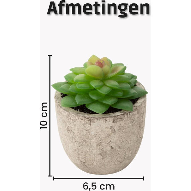 GreenDream Kunstplanten - Vetplanten in Pot 6 stuks - Cadeautip