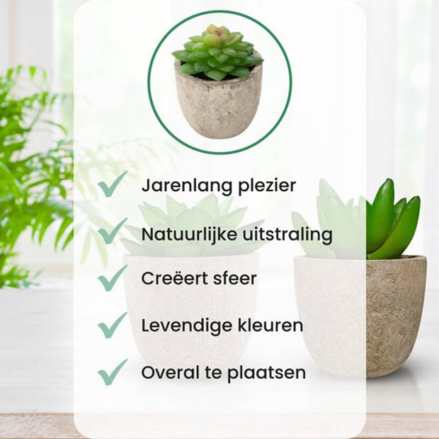 GreenDream Kunstplanten - Vetplanten in Pot 6 stuks - Cadeautip