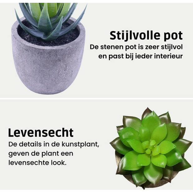 GreenDream Kunstplanten - Vetplanten in Pot 6 stuks - Cadeautip