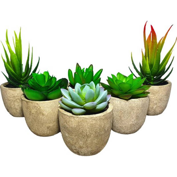 GreenDream Kunstplanten - Vetplanten in Pot 6 stuks - Cadeautip