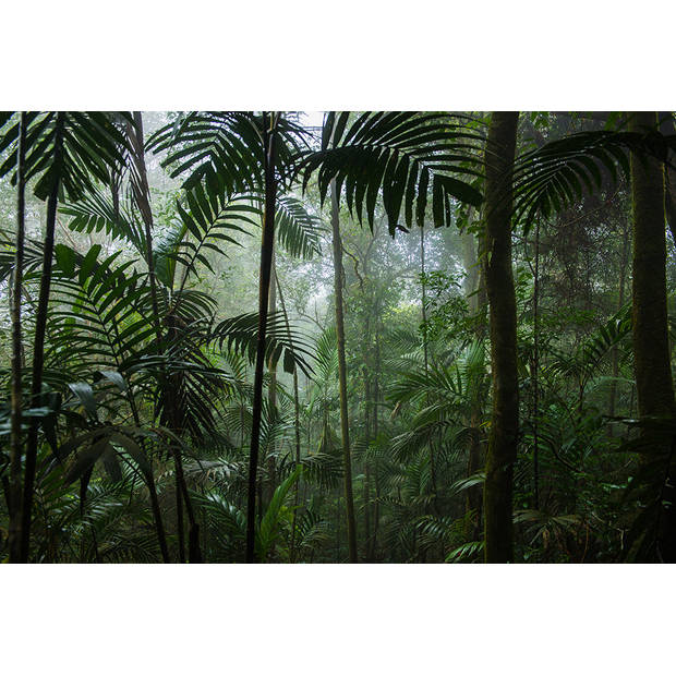 Inductiebeschermer - Vochtige Jungle - 80x52 cm