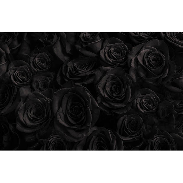 Inductiebeschermer - Zwarte Rozen - 60x52 cm