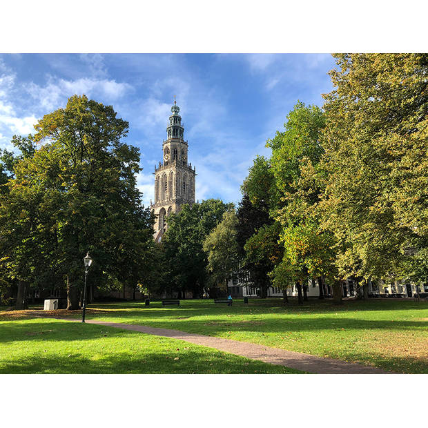 Inductiebeschermer - Martinikerk Groningen - 78x52 cm