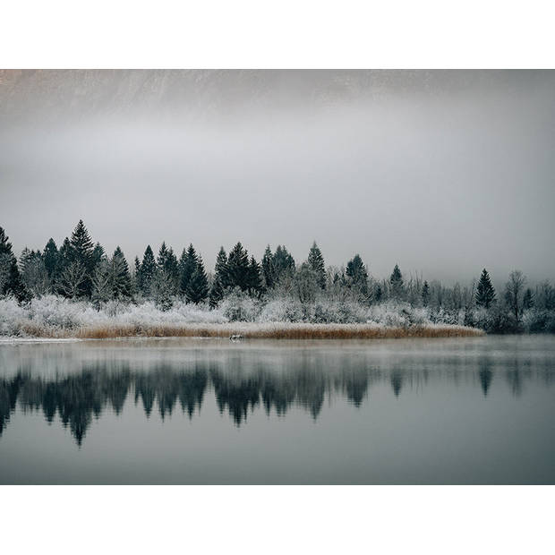 Inductiebeschermer - Dark Lake - 70x55 cm