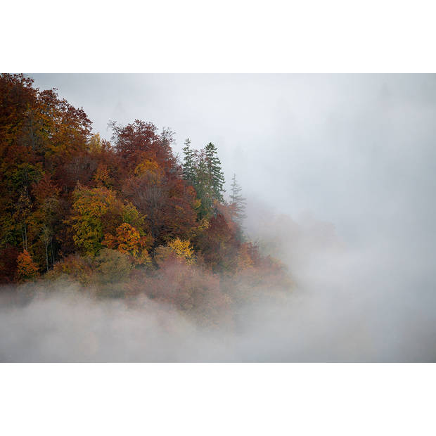 Inductiebeschermer - Foggy Trees - 80.2x52.2 cm
