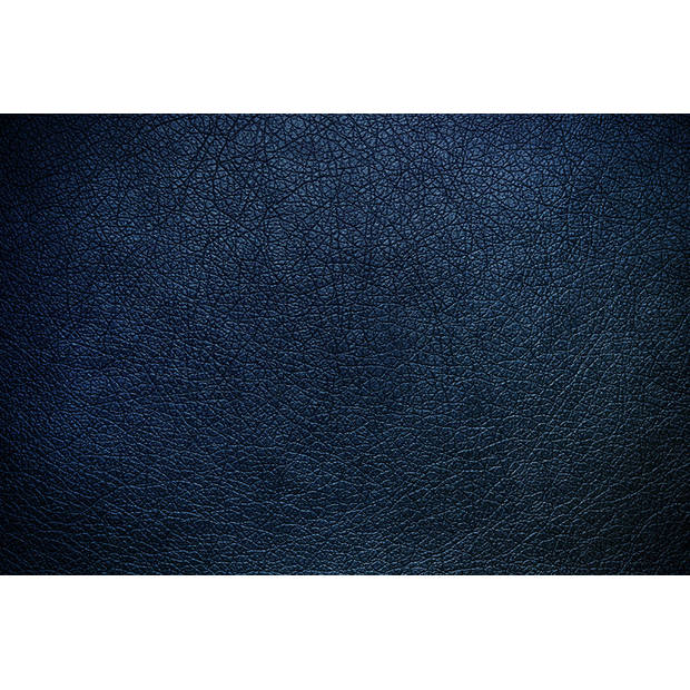 Inductiebeschermer - Blauw Leer - 81x52 cm