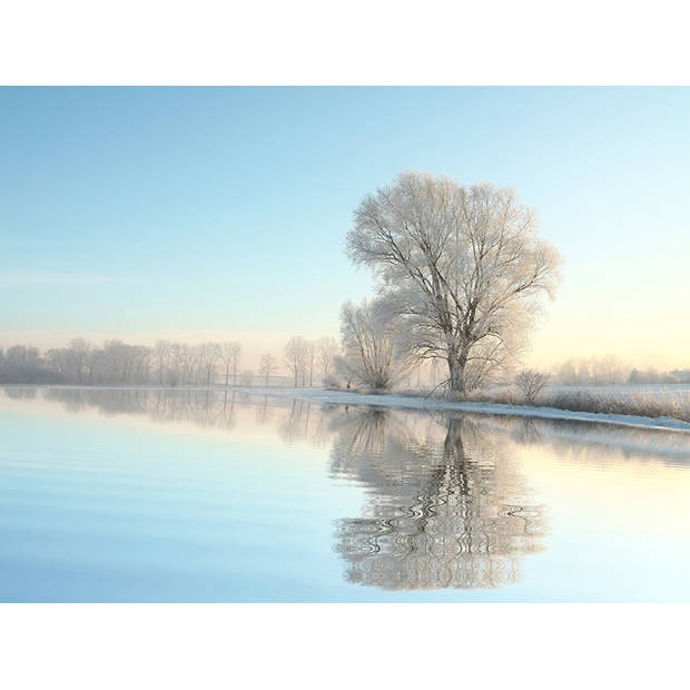 Inductiebeschermer - Cold Morning - 82x52 cm