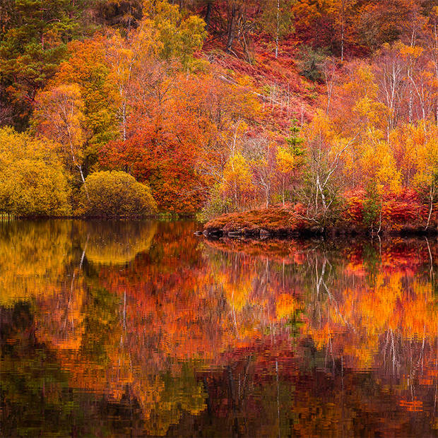 Inductiebeschermer - Autumn Lake - 60x60 cm