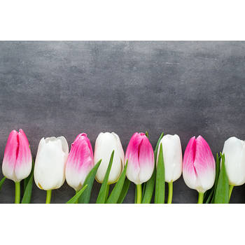 Inductiebeschermer - Witte en Roze Tulpen - 85x55 cm