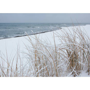 Inductiebeschermer - Snowy Beach - 65x52 cm