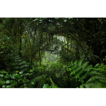 Inductiebeschermer - Rainy Jungle - 85x55 cm