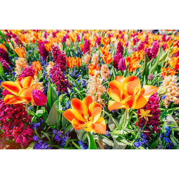 Inductiebeschermer - Oranje bloemen - 80x55 cm