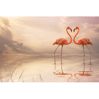 Inductiebeschermer - Loving Flamingo - 60x60 cm