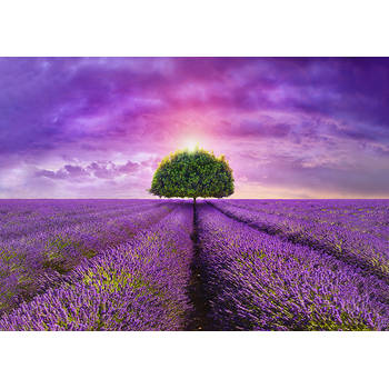 Inductiebeschermer - Lavendel veld - 81x52 cm