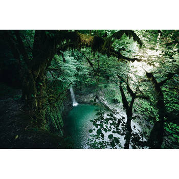 Inductiebeschermer - Jungle Cliff - 65x55 cm