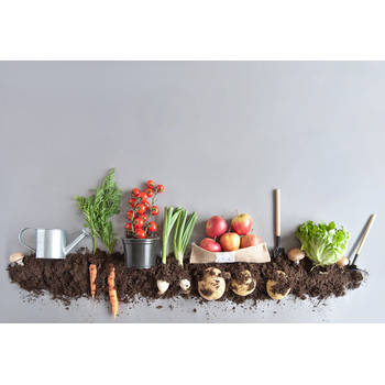 Inductiebeschermer - Fruits and Greens - 82x52 cm