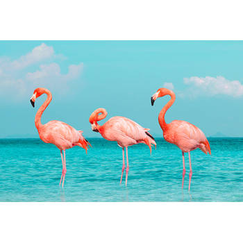 Inductiebeschermer - Drie Flamingo's - 91.6x52.7 cm