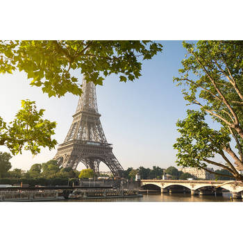 Inductiebeschermer - Eiffeltoren - 91.2x52 cm