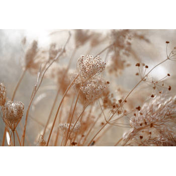Inductiebeschermer - Dried Flower - 75x52 cm