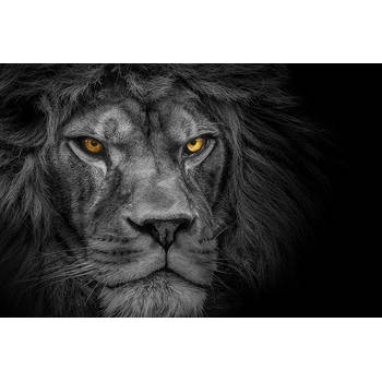 Inductiebeschermer - Dark Lion - 77x51 cm