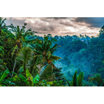 Inductiebeschermer - Cloudy Jungle - 70x52 cm