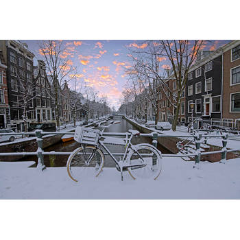 Inductiebeschermer - Amsterdamse Wintergracht - 81.2x52 cm