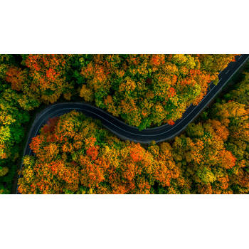 Inductiebeschermer - Autumn Road - 83x51.5 cm
