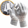 R2B® Touchscreen Handschoenen Winter Heren - Handschoenen Winter Dames - Maat S/M - Grijs - Scooter/Fiets - Model Brugge