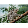 Inductiebeschermer - Twee Koala's - 70x52 cm