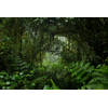 Inductiebeschermer - Rainy Jungle - 95x50 cm