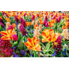 Inductiebeschermer - Oranje bloemen - 80x55 cm