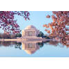 Inductiebeschermer - Jefferson Memorial - 78x52 cm