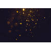 Spatscherm Golden Lights - 100x50 cm