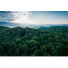 Inductiebeschermer - Jungle Sunset - 60x52 cm