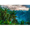 Inductiebeschermer - Cloudy Jungle - 77x59 cm