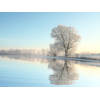 Inductiebeschermer - Cold Morning - 89.6x51.6 cm