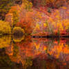 Inductiebeschermer - Autumn Lake - 82x52 cm