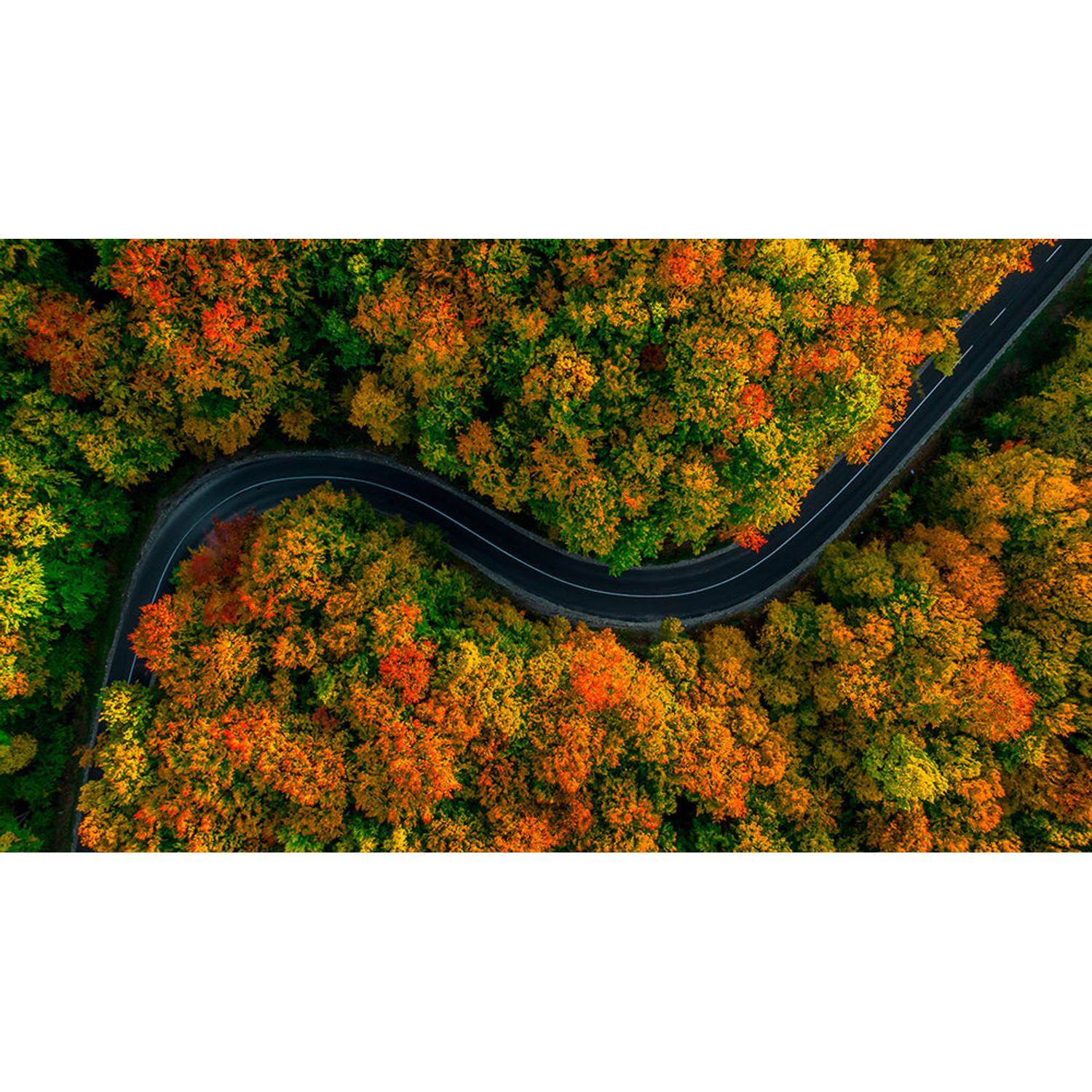 Inductiebeschermer - Autumn Road - 65x52 cm