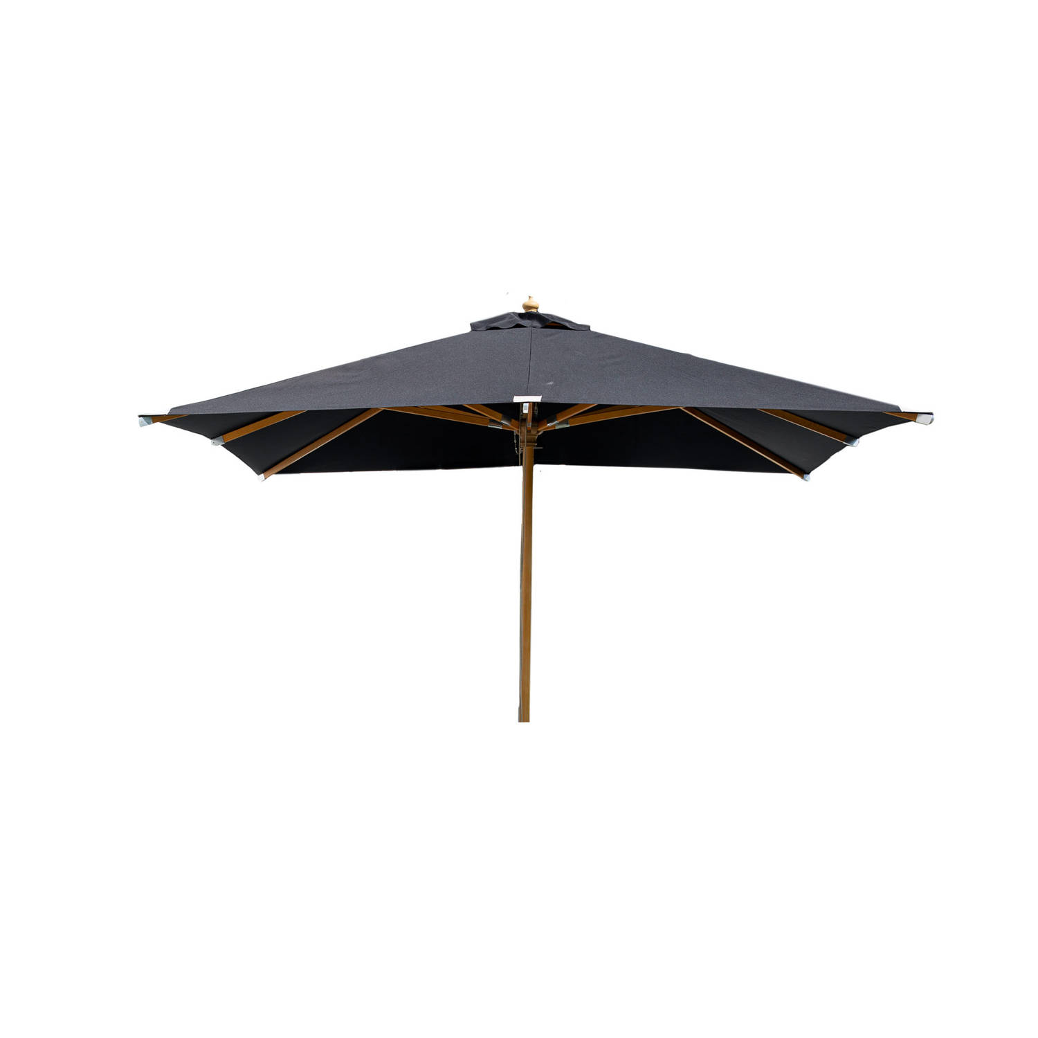 Naxos parasol zwart, natuur.