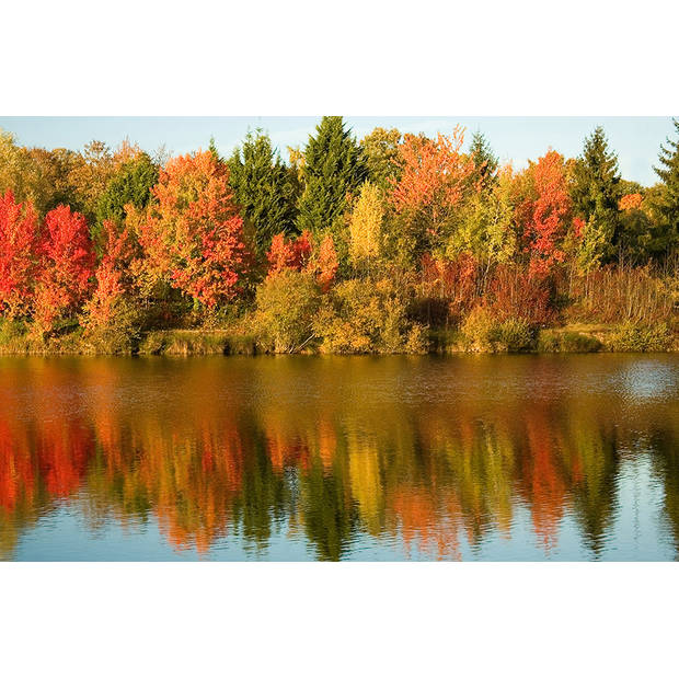 Inductiebeschermer - Autumn Trees - 70x52 cm