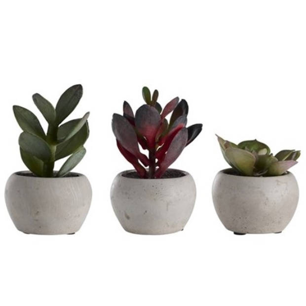 DAY Kunstplanten Set - Kleurijke plantjes in pot - Set van 3 stuks